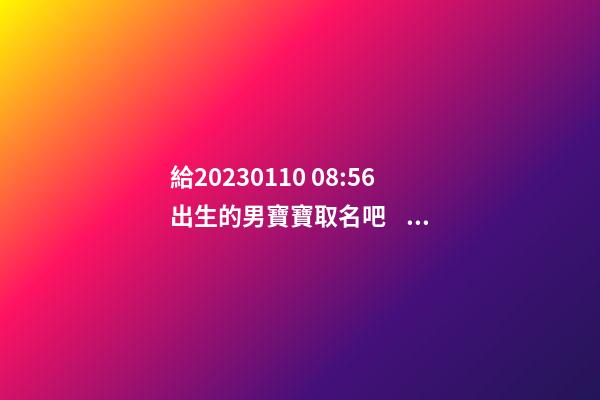 給2023.01.10 08:56出生的男寶寶取名吧，五行八字起名